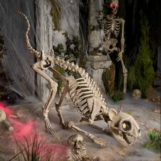 5 ft. Long Grave & Bones LED Skelly's Cat H21