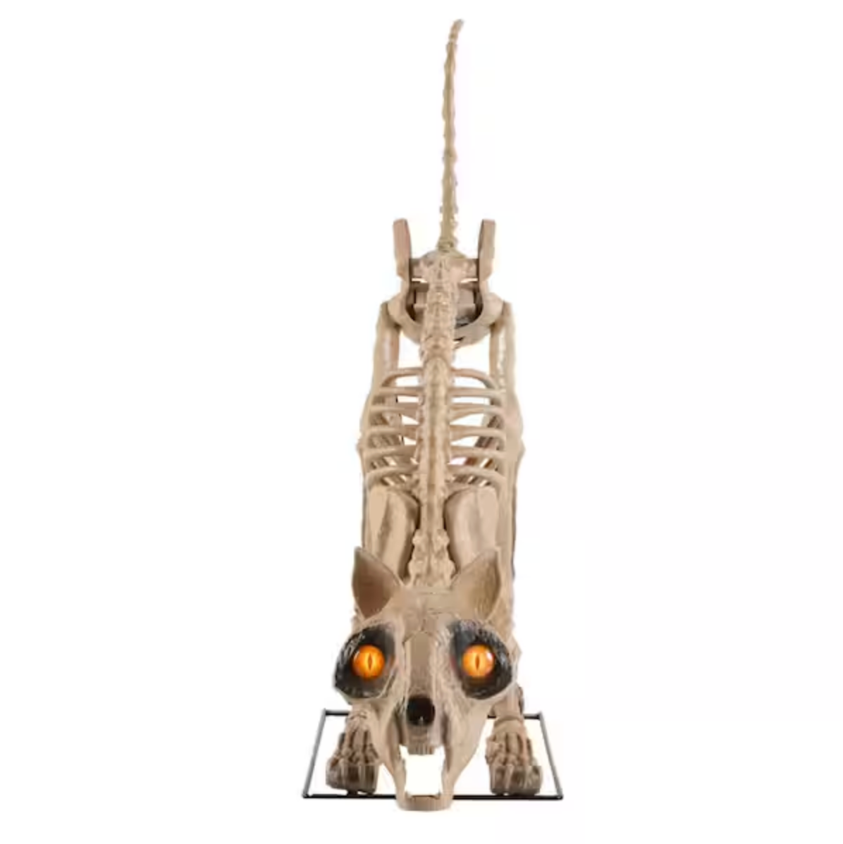 5 ft. Long Grave & Bones LED Skelly's Cat H21