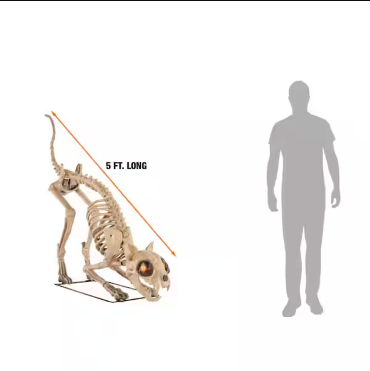 5 ft. Long Grave & Bones LED Skelly's Cat H21