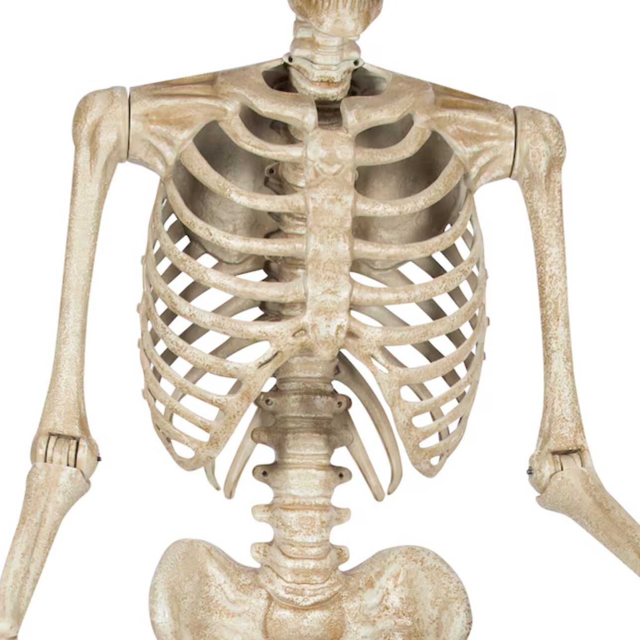10-ft Poseable Skeleton Decoration